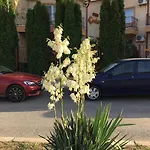 Casa Esy Penzion Eforie Nord
