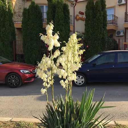 Casa Esy ゲストハウス エフォリエ・ノルド